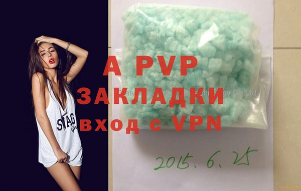 стаф Вяземский