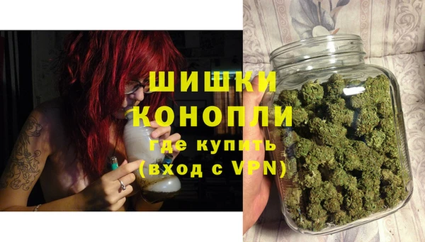 стаф Вяземский
